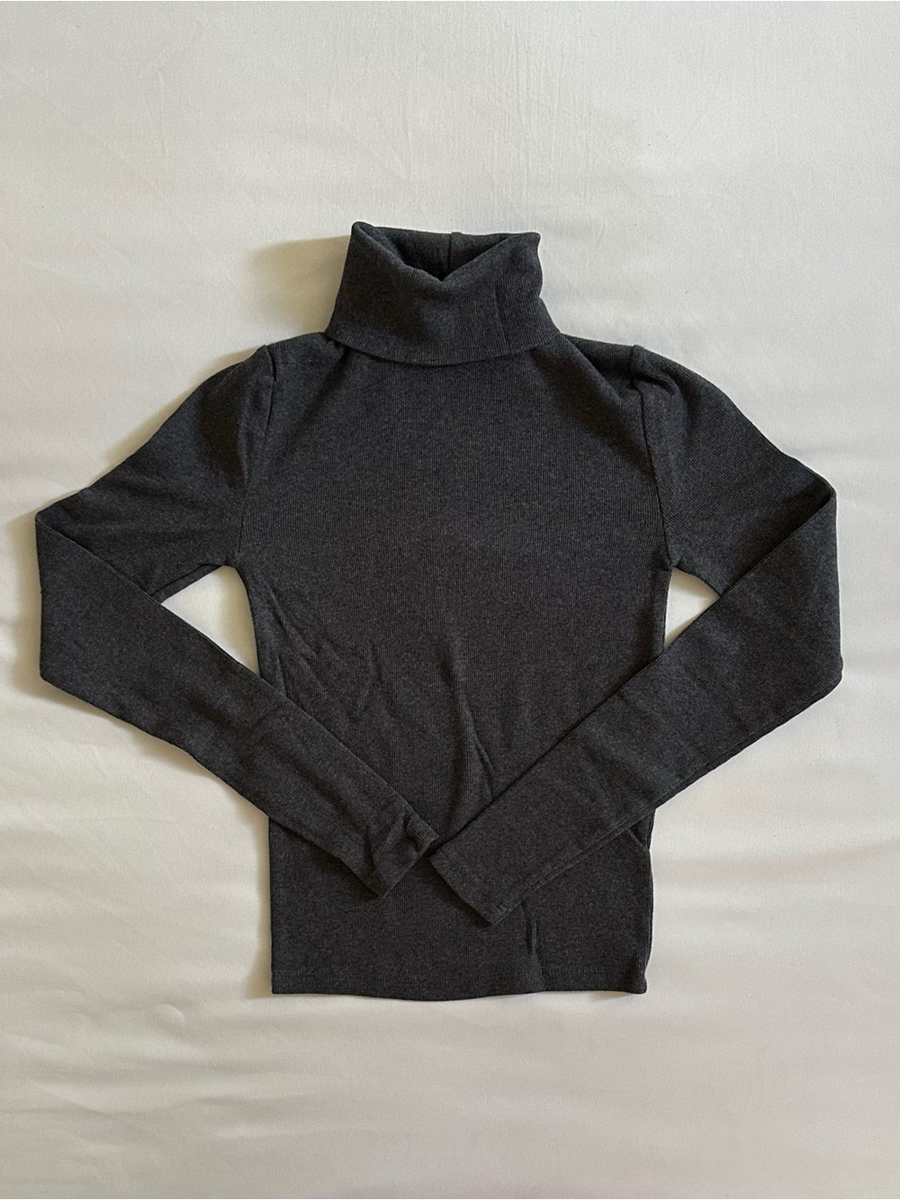 Aritzia Homestretch Turtleneck Top